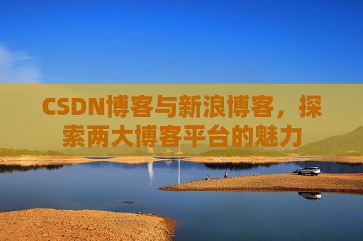 CSDN博客与新浪博客,探索两大博客平台的魅力